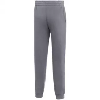 Nike Park 26 Fleece Joggers lastele hall IB1252 071 XS