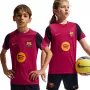 Nike FC Barcelona Strike laste jalgpallisärk tumepunane L