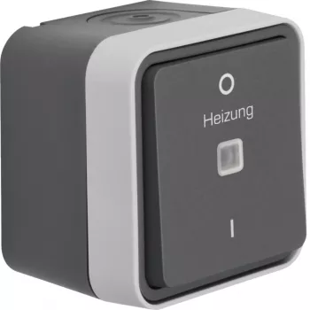 Hager WNC015 2-pooluseline pealispinna juhtimislüliti signaallambiga, hall