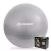 SCHILDKROT Võimlemispall 65 cm hõbedane Anti-Burst 960156