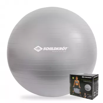 SCHILDKROT Võimlemispall 65 cm hõbedane Anti-Burst 960156