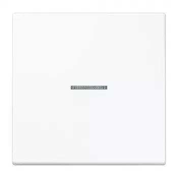 Jung KNX RF surunupp 1-kohaline termoreaktiivne LS-seeria Alpine White LS10911STRFWW