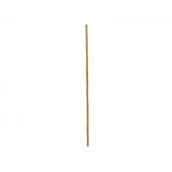 EUROPALMS bambuspost, Ø 3 cm, pikkus 200 cm 83313200