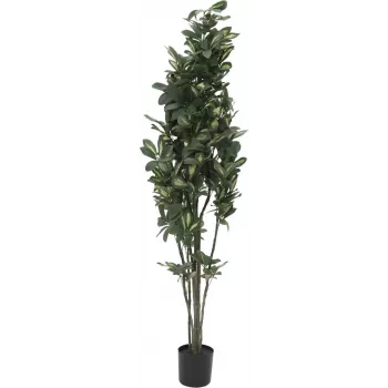 EUROPALMS Schefflera kunsttaim, 120 cm, roheline 82600157