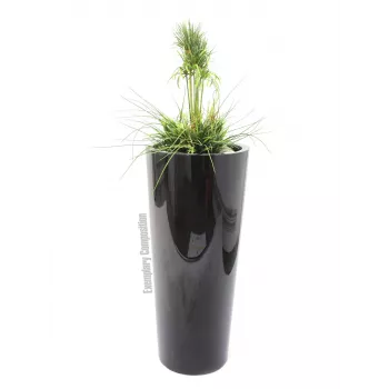 EUROPALMS Leichtsinn Elegance-110 dekoratiivne kuju, must läikiv 83011864