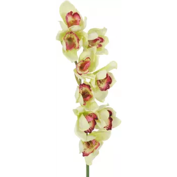 EUROPALMS Kunstlik Cymbidium Orhidee Oks, Roheline, 90cm 82530313