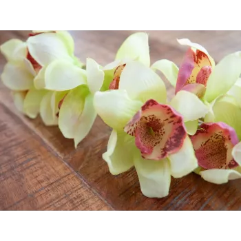 EUROPALMS Kunstlik Cymbidium Orhidee Oks, Roheline, 90cm 82530313