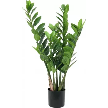 EUROPALMS Zamifolia kunsttaim ZZ-plant, 70 cm, must pott 82600153