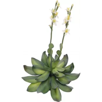 EUROPALMS Stone Rose (EVA) kunsttaim, kollane, 32cm 82530573