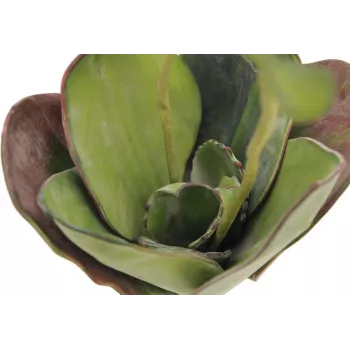 EUROPALMS Kunstlik vesiroos (EVA), Suletud, Roheline, 45cm 82530575
