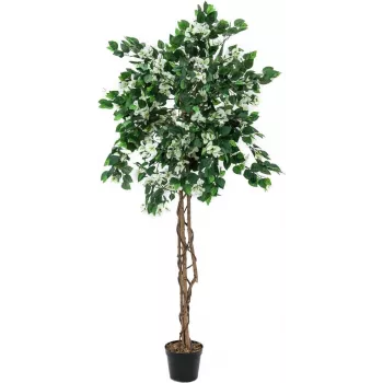 EUROPALMS Bougainvillea kunsttaim, valge, 180 cm 82507086