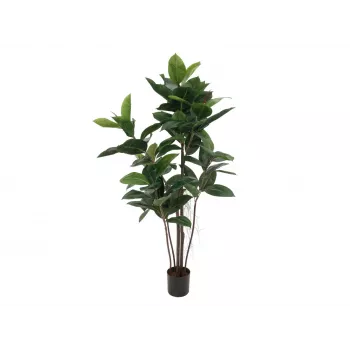 EUROPALMS kummipuu kunsttaim, 120cm 82600150