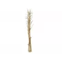 EUROPALMS kuivatatud apteegitilli kimp, kuldne, 160cm 83502363