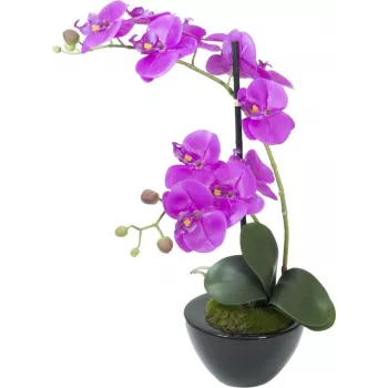 EUROPALMS Kunstlik Orhidee Kompositsioon 4, Valge Phalaenopsis Keraamilises Potis, 60 cm 82530349