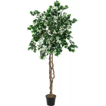 EUROPALMS Bougainvillea kunsttaim, valge, 150cm 82507085
