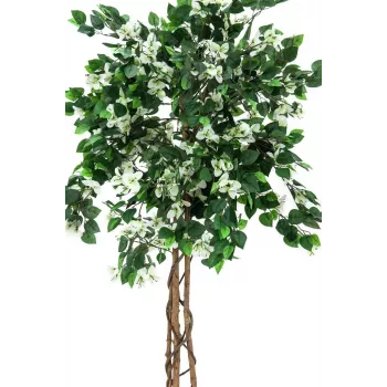 EUROPALMS Bougainvillea kunsttaim, valge, 150cm 82507085