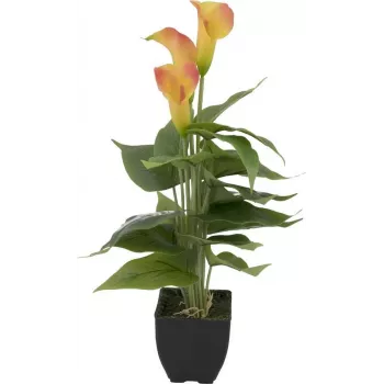EUROPALMS Calla mini kunsttaim, kollane-oranž, 43 cm 82540346