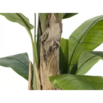 EUROPALMS Kunstlik banaanipuu, 170 cm, rohelised lehed, must pott 82509539