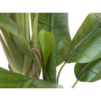 EUROPALMS Kunstlik banaanipuu, 170 cm, rohelised lehed, must pott 82509539