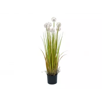 EUROPALMS Kunstlik võilill, 107cm, valge 82600133