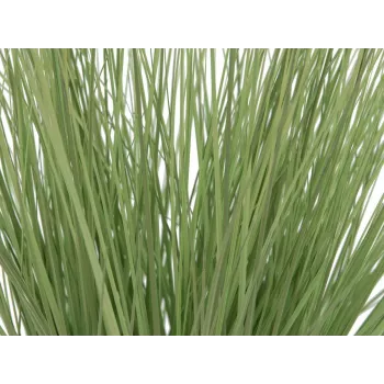 EUROPALMS Kunstlik dekoratiivne rohi, 65 cm, roheline, must pott 82600145