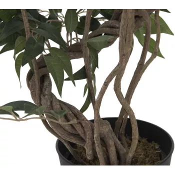 EUROPALMS Ficus mitme spiraalse tüvega kunsttaim, 130 cm 82806314