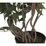 EUROPALMS Ficus mitme spiraalse tüvega kunsttaim, 130 cm 82806314