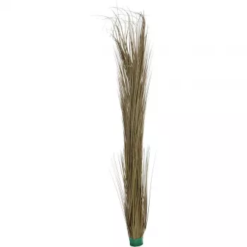 EUROPALMS Kunstlik Pilliroog, Khaki, 127 cm 82505853
