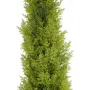 EUROPALMS Leylandi kunsttaim, 120 cm, roheline lehestik, must pott 82606964
