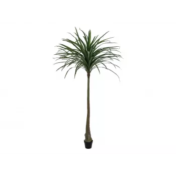 EUROPALMS Dracena kunsttaim, roheline, 220cm 82505798