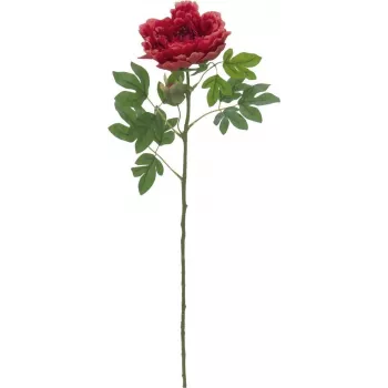 EUROPALMS Classic Peony Branch kunsttaim, magenta, 80cm 82530211
