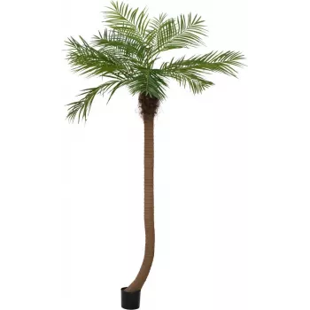 EUROPALMS Luxor kõverdatud kunstlik Phoenixi palm, 240cm 82510726