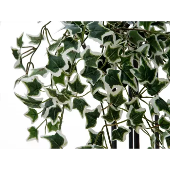 EUROPALMS Holland Ivy Hedge Screen Classic, kunstlik, 60cm 82502210