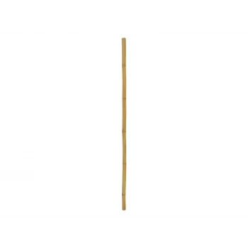 EUROPALMS bambuspost, Ø 5 cm, 200 cm 83313201