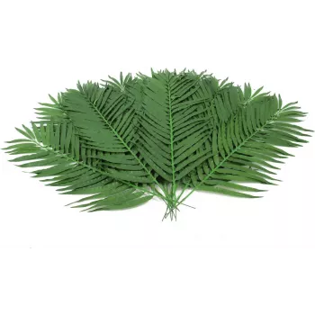 EUROPALMS Kunstlikud kookospalmi lehekesed, 90 cm, 12 tk, roheline 82509896