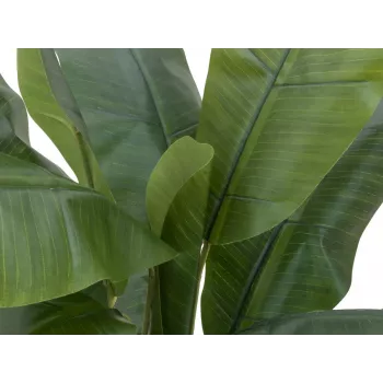 EUROPALMS Kunstlik banaanipuu, 120 cm, realistlikud rohelised lehed, must pott 82509537