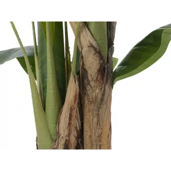 EUROPALMS Kunstlik banaanipuu, 120 cm, realistlikud rohelised lehed, must pott 82509537