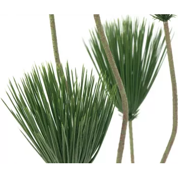 EUROPALMS Papyrus kunsttaim, 130 cm 82600235