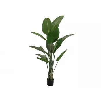 EUROPALMS Strelitzia kunsttaim, 170 cm, 3 õit, 12 lehte, roheline/oranž/sinine, must pott 82540523