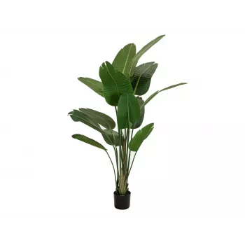 EUROPALMS Strelitzia kunsttaim, 170 cm, 3 õit, 12 lehte, roheline/oranž/sinine, must pott 82540523