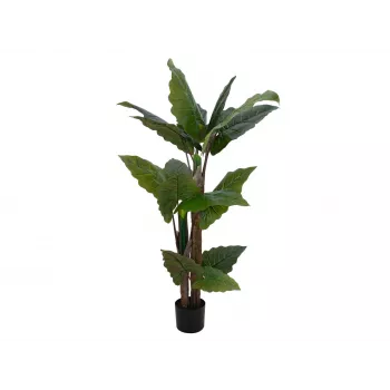 EUROPALMS Alocasia kunsttaim, 140 cm, roheline, must pott 82508464