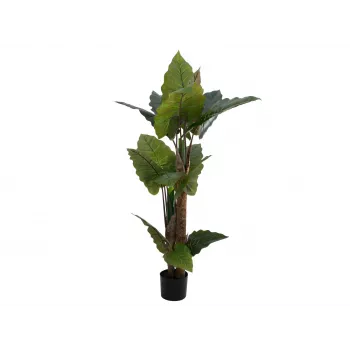 EUROPALMS Alocasia kunsttaim, 140 cm, roheline, must pott 82508464