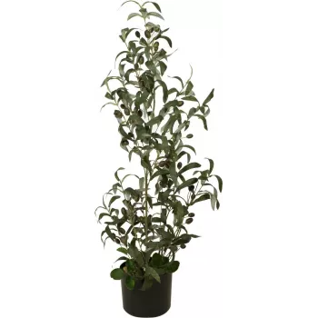 EUROPALMS Kunstlik Oliivipuu, 90 cm, Plastlehed, Looduslik Puidust Tüvi, Must Potis 82506422