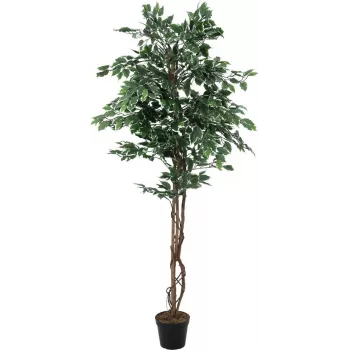 EUROPALMS Silberficus Benjamina kunsttaim, 180 cm 82506116