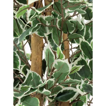EUROPALMS Silberficus Benjamina kunsttaim, 180 cm 82506116