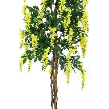 EUROPALMS Golden Rain Tree kunsttaim, kollane, 150cm 82507115