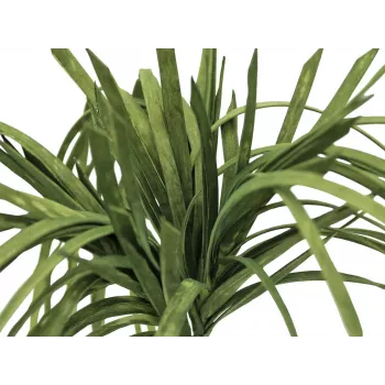 EUROPALMS Kunstlik meriheinataim (EVA), roheline, 100 cm 82531062