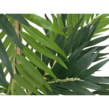 EUROPALMS Parlour Palm kunsttaim, 150cm 82509495