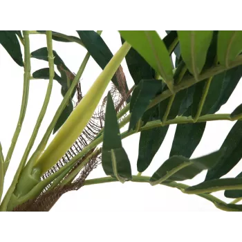 EUROPALMS Parlour Palm kunsttaim, 150cm 82509495