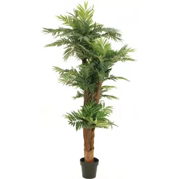 EUROPALMS Areca palm kunsttaim 170cm 82509408